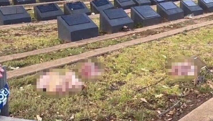 Avustralya’nın Sydney kentinde Müslüman mezarlığına domuz kafaları bırakıldı