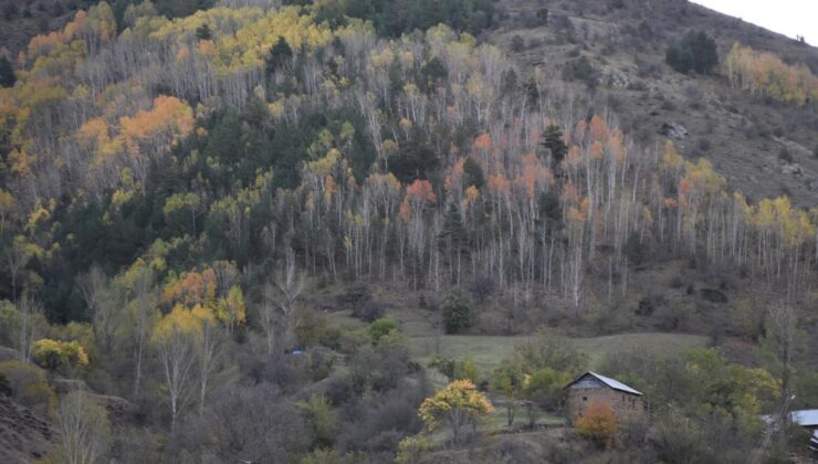 Doğal sit alanı büyüklüğü 28 bin 907 kilometrekareye ulaştı