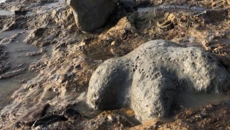 Dünya genelinde 2025’teki arkeolojik bulgular, insanlık tarihine ve mirasına ışık tuttu