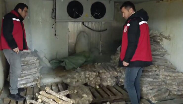 Manisa’da piyasa değeri yaklaşık 4 milyon lira olan bozulmuş kokoreç ele geçirildi