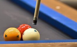 Milli bilardocular Hollanda’da biri altın 2 madalya kazandı