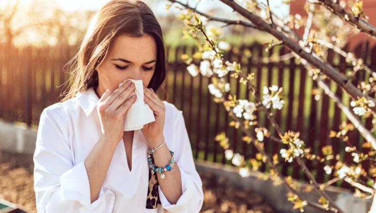 MIT bilim insanları bağışıklık sistemini gençleştirmenin yolunu buldu