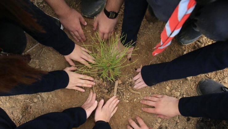 Orman Genel Müdürlüğü, bugüne kadar Ankara’da 320 okula fidan dikti