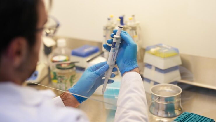 Türk bilim insanları kıyı korozyonu risklerini yapay zekayla belirleyecek