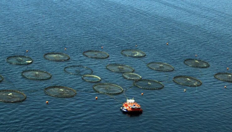 Türkiye, Akdeniz ve Karadeniz balıkçılığında lider