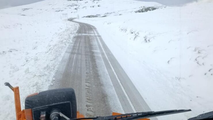 Turuncu kaplanlar kar mesaisinde