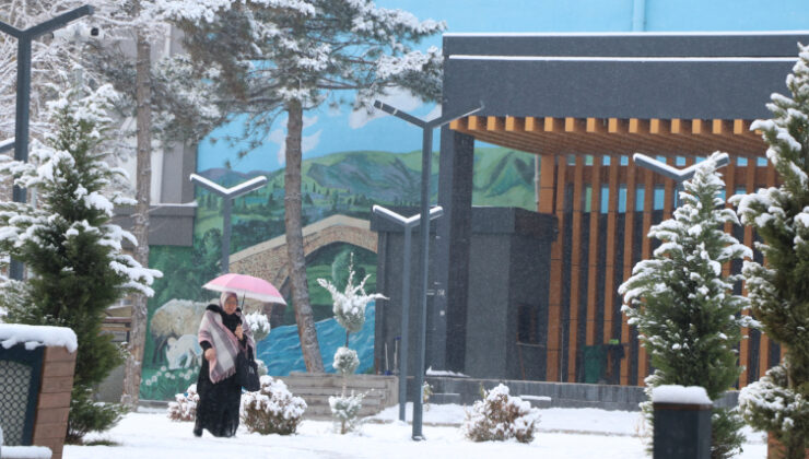 Van’da kar nedeniyle 90 yerleşim yeri ulaşıma kapandı, bir ilçede okullar tatil