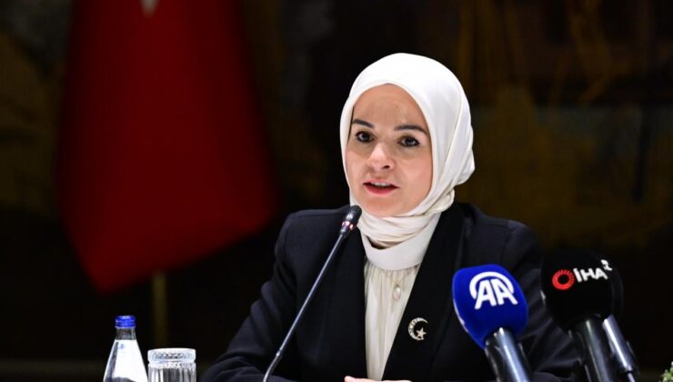 Bakan Göktaş, sosyal yardım ödemelerindeki artışı açıkladı