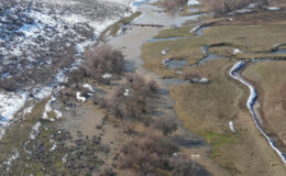 Diyarbakır’da kaybolan kadını arama çalışmaları sürüyor