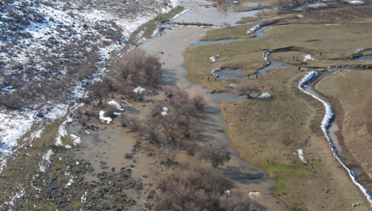 Diyarbakır’da kaybolan kadını arama çalışmaları sürüyor