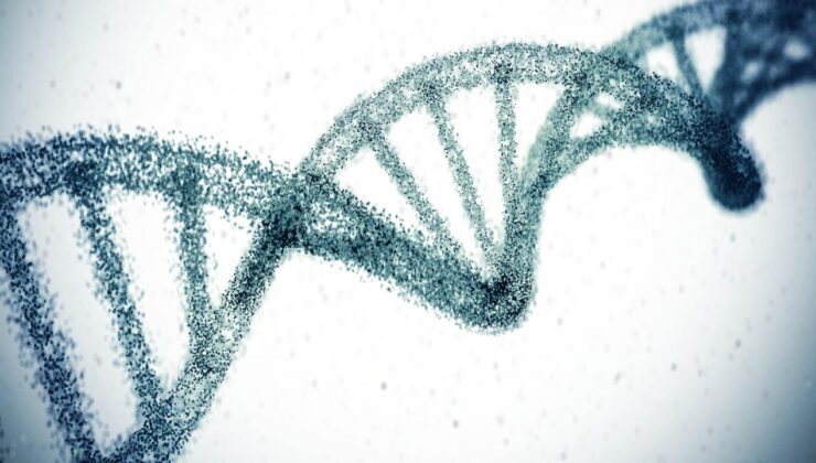 Genetik faktörlerin yaşam süresi üzerindeki etkisi tahminlerin üzerinde