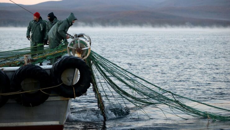 Küçük ölçekli balıkçı destekleri için başvurular başladı