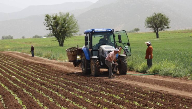 Tarım sayımının yüzde 90’ı tamamlandı
