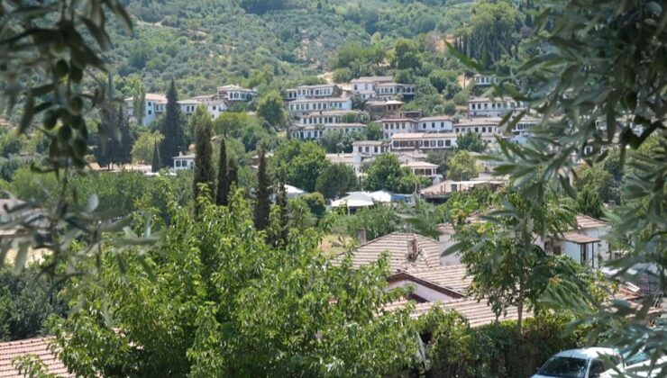 Türkiye’nin en ilginç köy isimleri: Panik, Dertli, Sinek