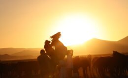 Atlar aynı anda hem kişneyip hem ıslık çalıyor
