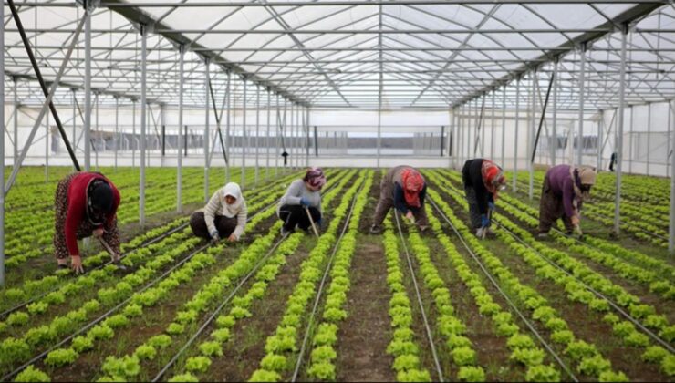 Bölgesel kalkınma için 15,6 milyar liralık yatırım yapılacak