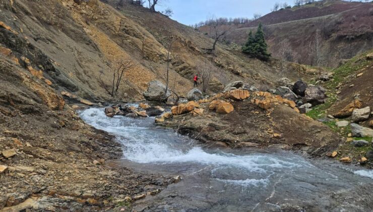 Diyarbakır kaybolan engelli yaşlı adamı arama çalışmaları sürüyor