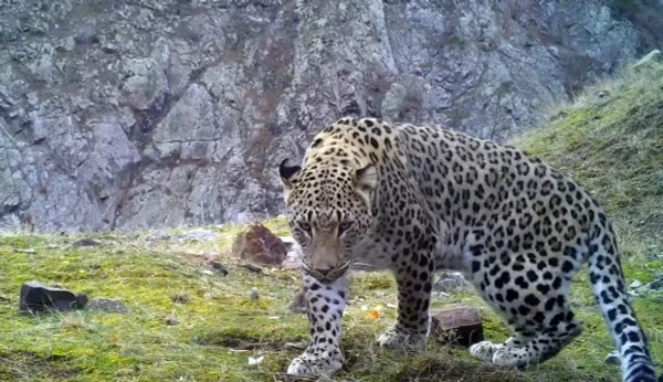 Kaçak avcılar 107 milyon lira ceza ödedi