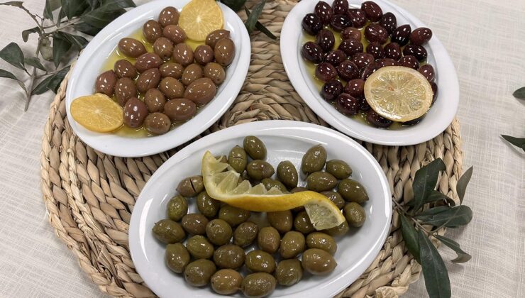 Milas Çekişke zeytinine AB tescili yolda