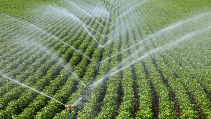 Tarımsal destek bütçesi geçen yıl 158,55 milyar liraya yükseldi