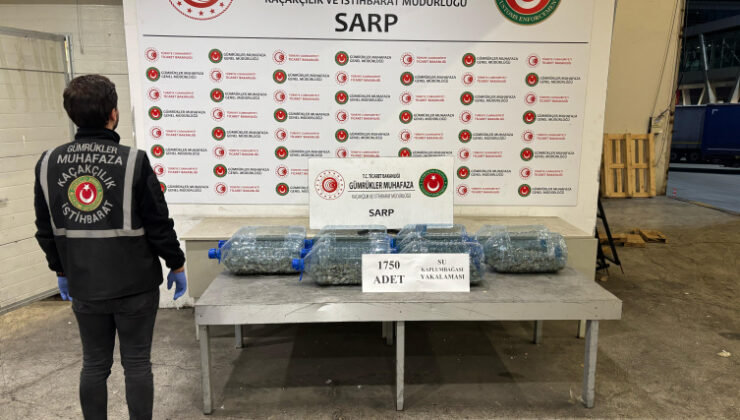 Ticaret Bakanlığı ekipleri 85 binden fazla canlı hayvan ele geçirdi