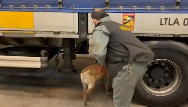 Uluslararası uyuşturucu ticaretiyle mücadele: 240 kilo uyuşturucu ele geçirildi