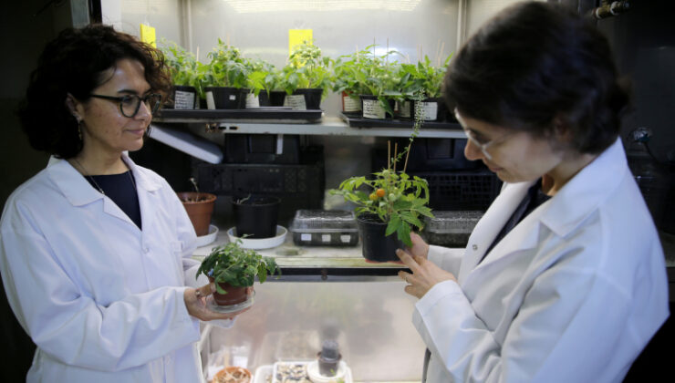 Uzay tarımı için Türkiye’den önemli adım