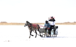 Çıldır Gölü üzerinde nostaljik yolculuk: Atlı Kızaklar