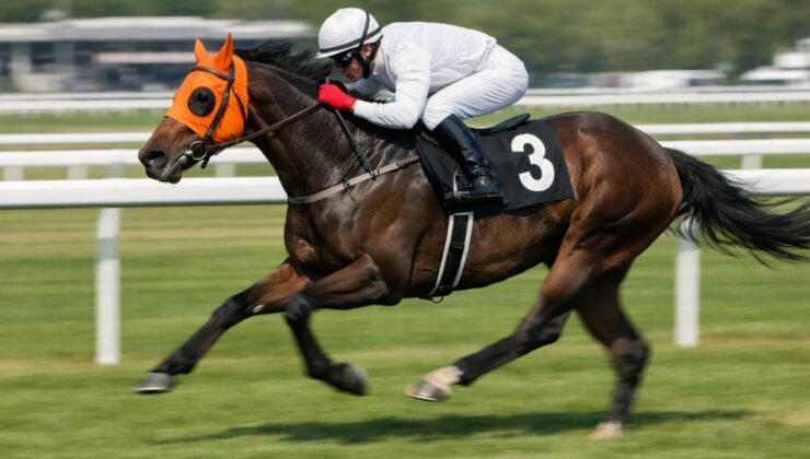 Mersin Büyükşehir Belediyesi’nin aşevinde kavurmadan ‘yarış atı çipi’ çıktı