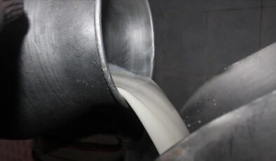 Toplanan inek sütü miktarı ocakta 944 bin 926 ton oldu