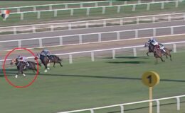 Yarış atı kavurma yapılan iş insanına da 132 bin TL ceza kesildi