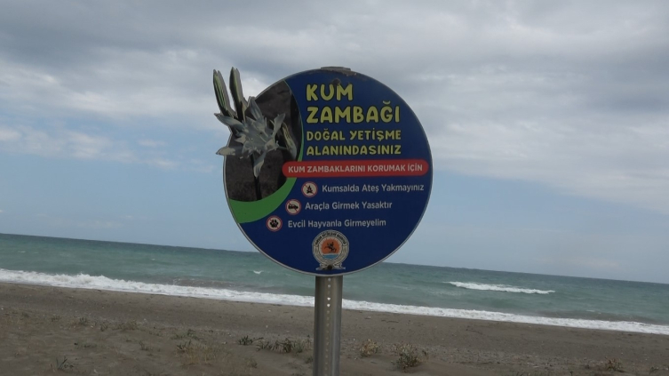 Kum zambağını koparana 699 bin lira ceza