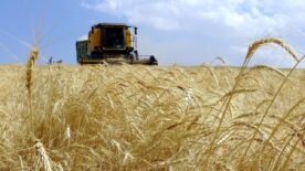 Türkiye tarımsal hasılada dünyada 7’nci, Avrupa’da birinci sırada