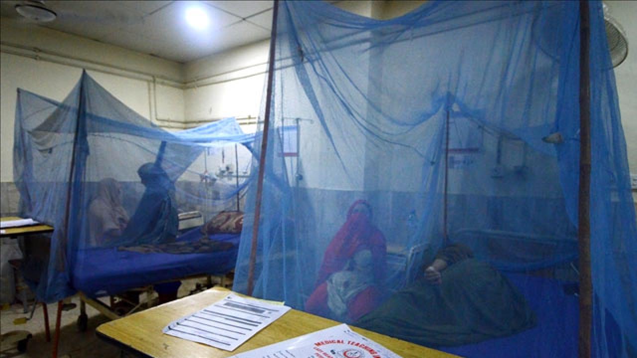 Bangladeş’te yıl başından bu yana dang humması nedeniyle ölenlerin sayısı 364’e çıktı