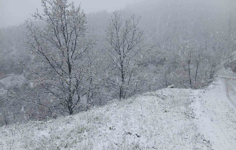 Manisaya mevsimin ilk karı düştü