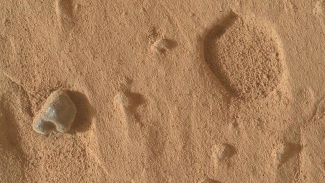 Sahara Çölü’nde bulunan gül rengi göktaşı 4,1 milyar yıllık Mars parçası çıktı